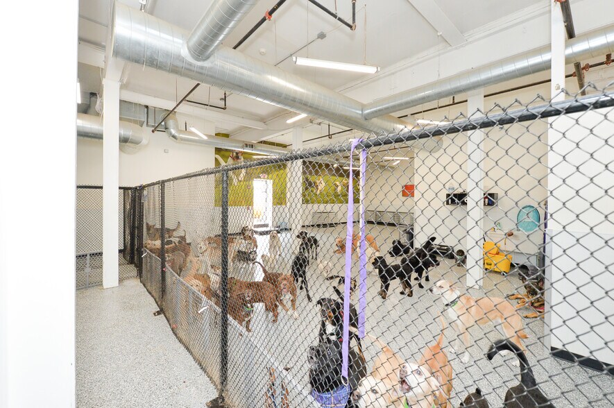 More Photos Of 85-A Walnut St, Montclair Storefront Retail Office For Sale