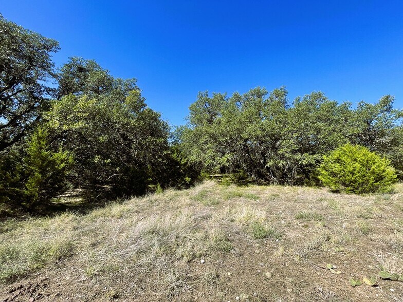 More Photos Of 1276 Farm to Market Road 574, Mullin Land For Sale