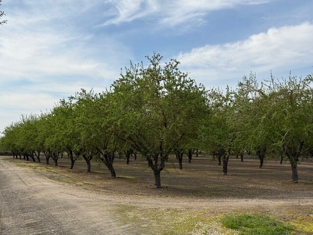 More Photos Of Leedom Rd @ Mountain View Rd, Hughson Land For Sale