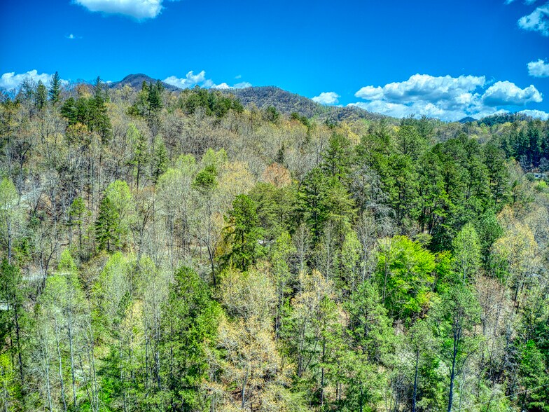 More Photos Of 5262 US Highway 74 W, Whittier Storefront Retail Residential For Sale