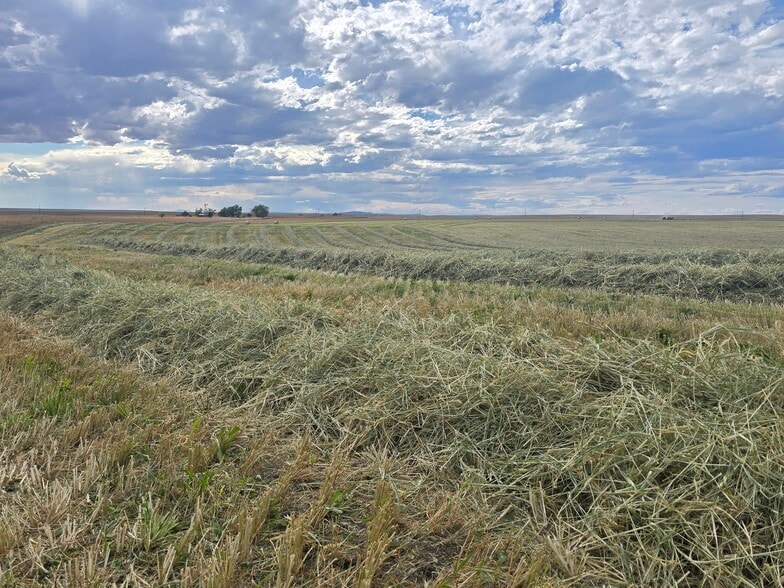 More Photos Of 5798 Road 146, Van Tassell Land For Sale