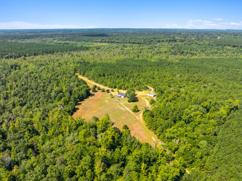 More Photos Of 7471 Highway 155, Saline Land For Sale