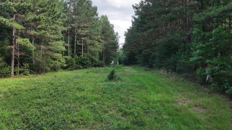 More Photos Of 447 County Road 2211 S, Rusk Land For Sale