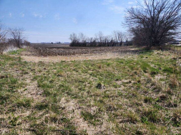 More Photos Of 0 Hanover, Carlock Land For Sale