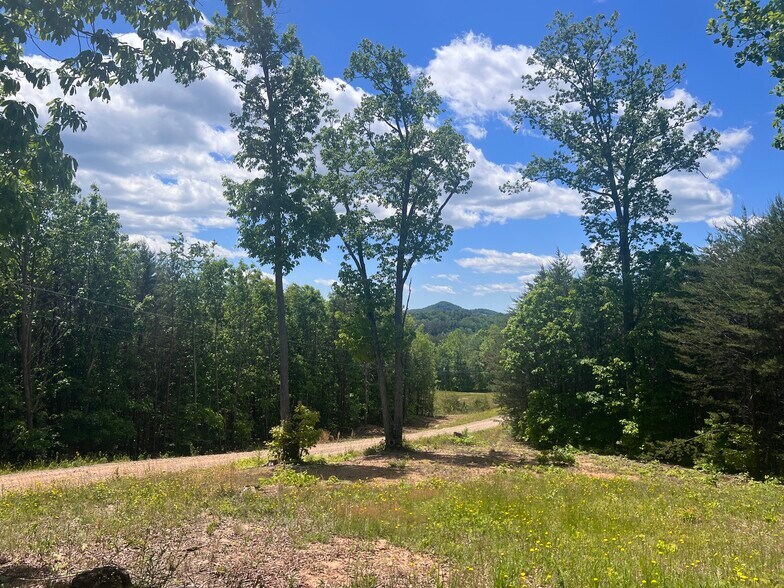 More Photos Of 00 Hickory Blv, Lenoir Land For Sale