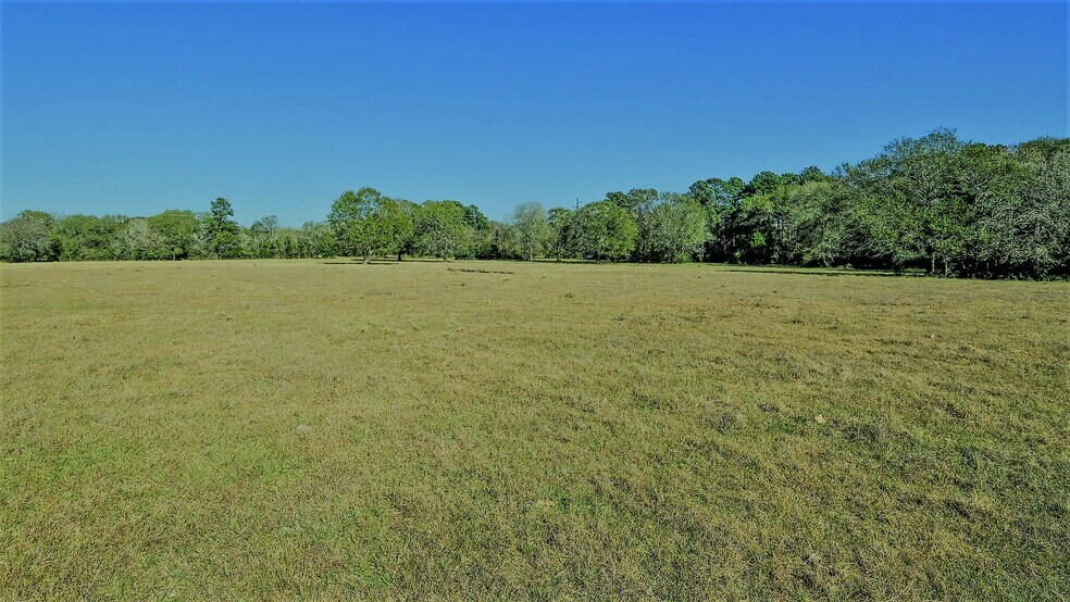 More Photos Of 26266 Fields Store Rd., Waller Land For Sale