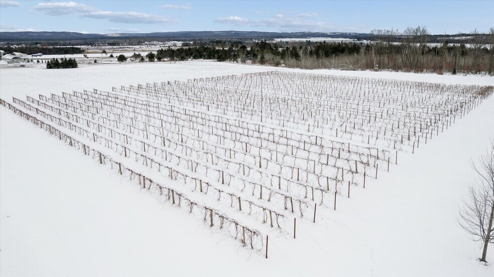 More Photos Of 8370 Lakeview Rd, Alanson Winery Vineyard For Sale