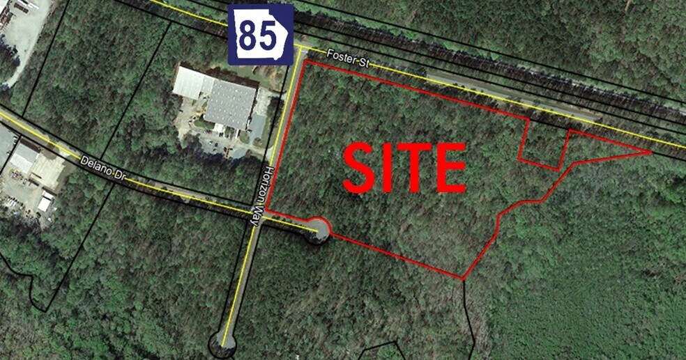 Primary Photo Of 0 Highway 85, Manchester Land For Sale