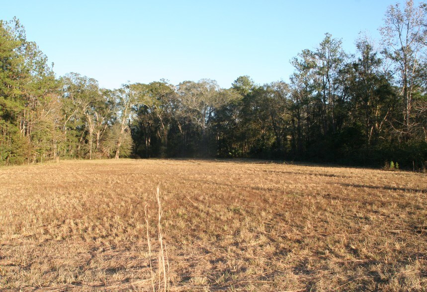 More Photos Of 542640 US Highway 1, Callahan Land For Sale