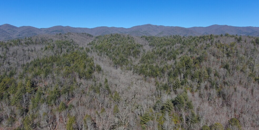 More Photos Of 6387 Airport Rd, Andrews Land For Sale