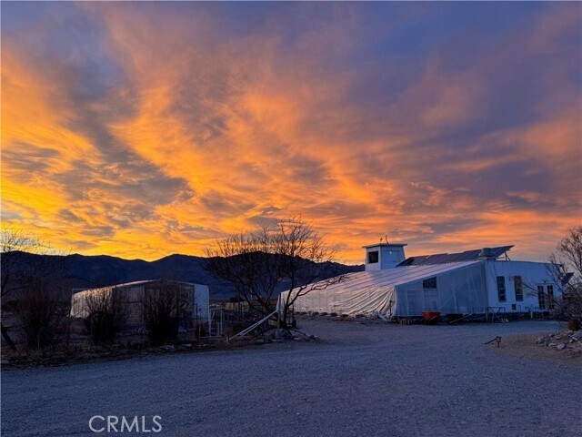 More Photos Of 691 Desert Trail Way, Tecopa Winery Vineyard For Sale