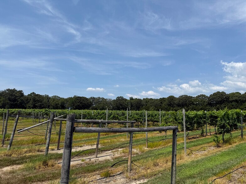 More Photos Of 221 N Delsea Dr, Cape May Court House Winery Vineyard For Sale