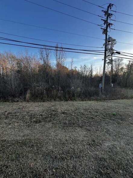 Primary Photo Of 3281-3291 Highway 52, Pelham Land For Sale