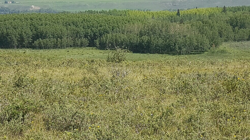 More Photos Of 1 Bow River, Rocky View No 44 Land For Sale