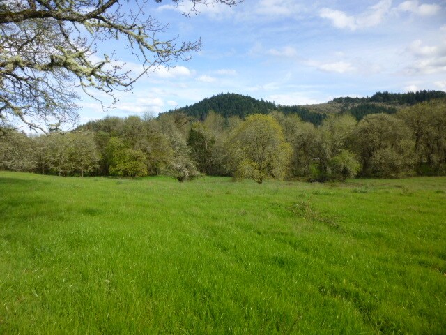 0 Strickland Cyn Hwy