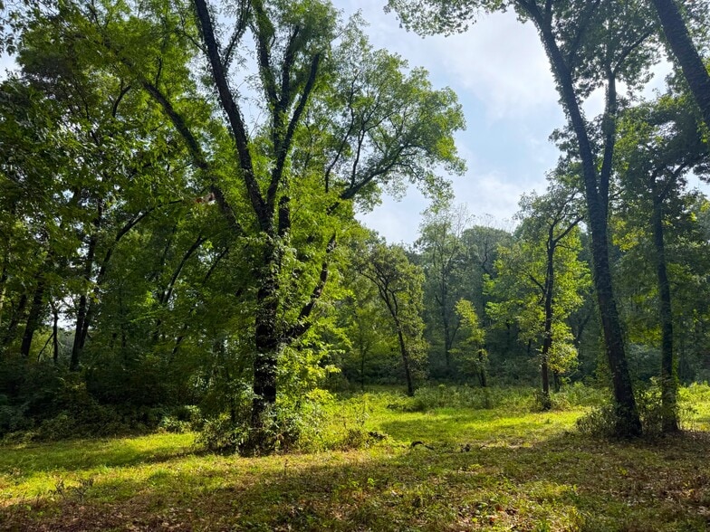 More Photos Of 17660 Golden Rd, Linwood Land For Sale