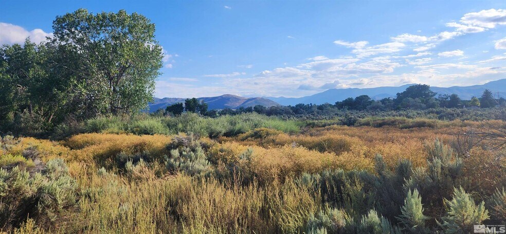 More Photos Of 5155 US Highway 50, Carson City Land For Sale