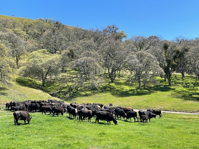 More Photos Of 38633 E Carmel Valley Rd, Carmel Valley Land For Sale