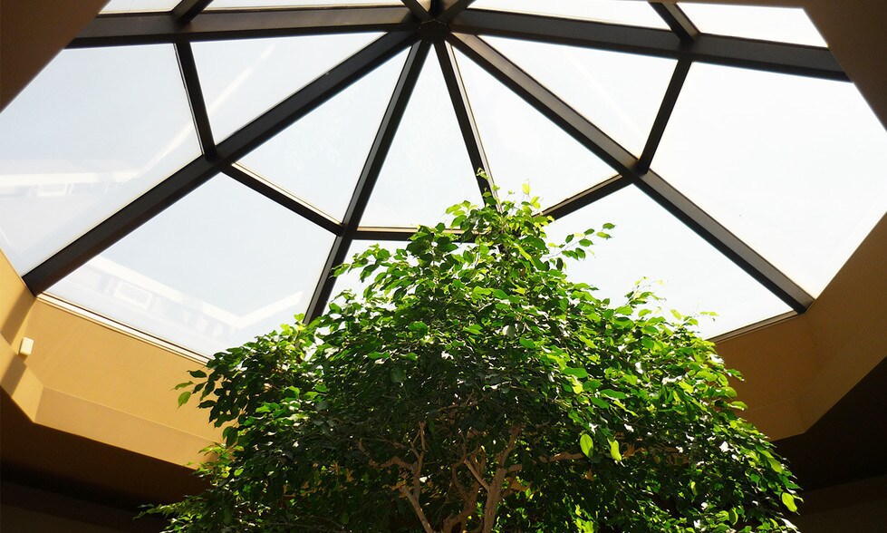 More Photos Of 550 Orchard Park Rd, West Seneca Medical For Lease