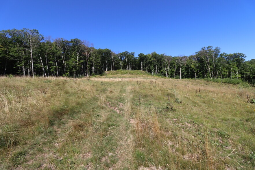 More Photos Of 35480 Whitetail Ave, Bayfield Land For Sale