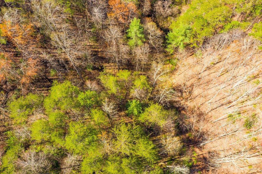 More Photos Of 4300 Parkway, Pigeon Forge Land For Sale