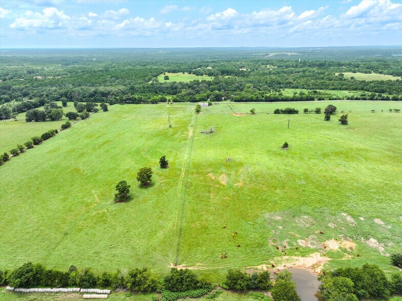 More Photos Of Tract 6 FM 855, Jacksonville Land For Sale