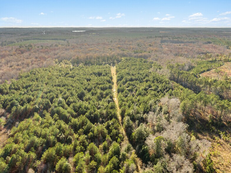 More Photos Of 7471 Hwy 155, Saline Land For Sale