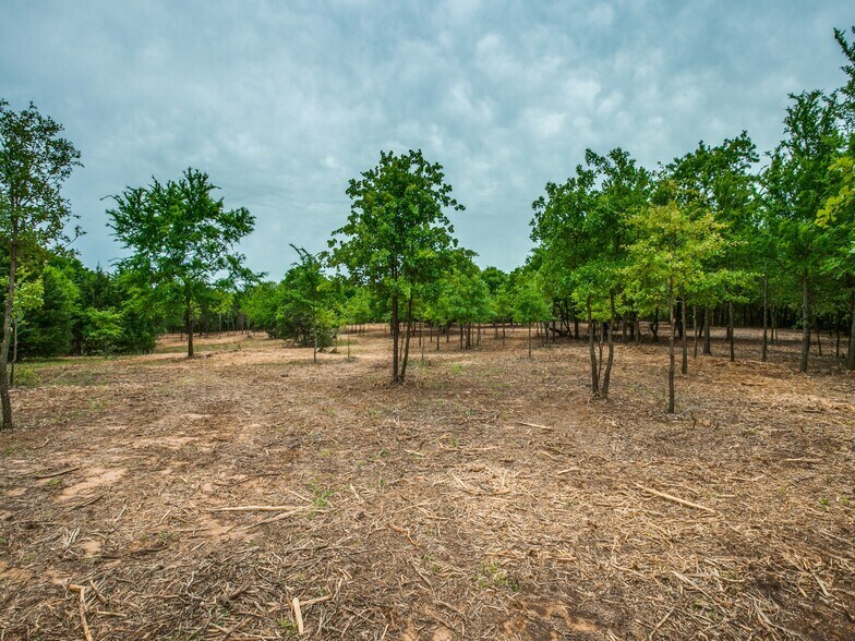 More Photos Of 9500 FM 455, Pilot Point Land For Sale