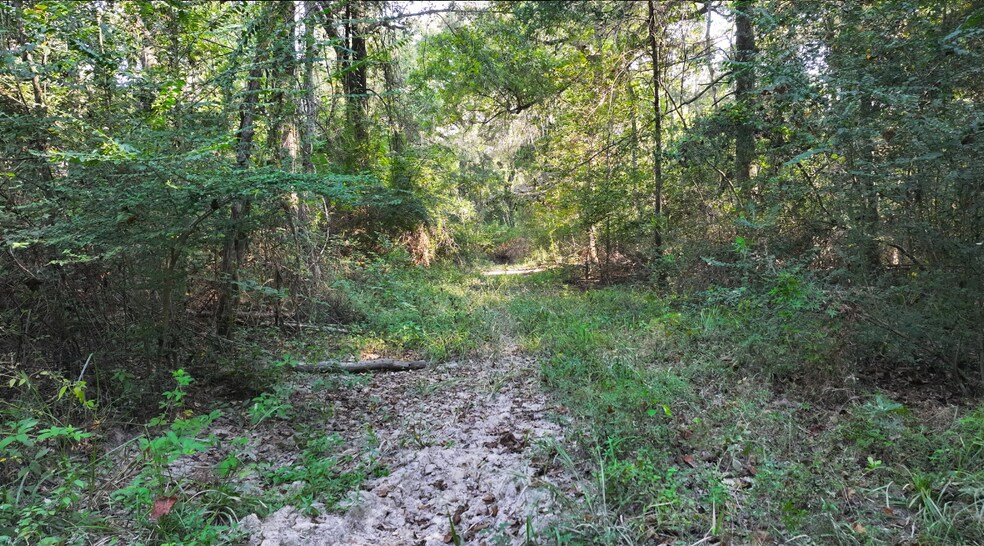 More Photos Of TBD CR 2041, Hull Land For Sale