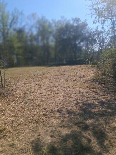 More Photos Of 334 Isaac Stevens Rd, Midway Land For Lease