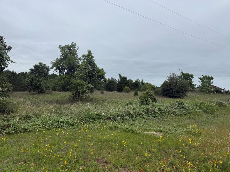 More Photos Of 28419 Hwy 6, Hempstead Land For Sale