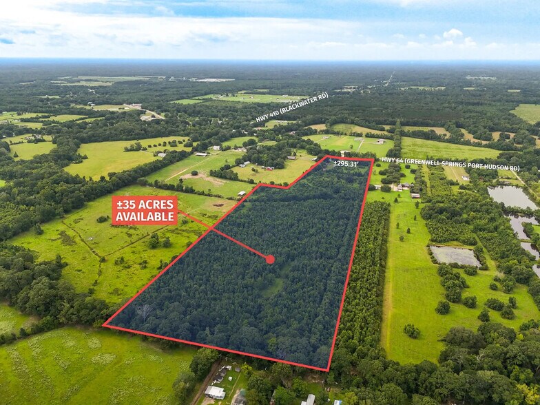 Primary Photo Of 10011 Greenwell Spg Pt Hudso Rd, Zachary Land For Sale