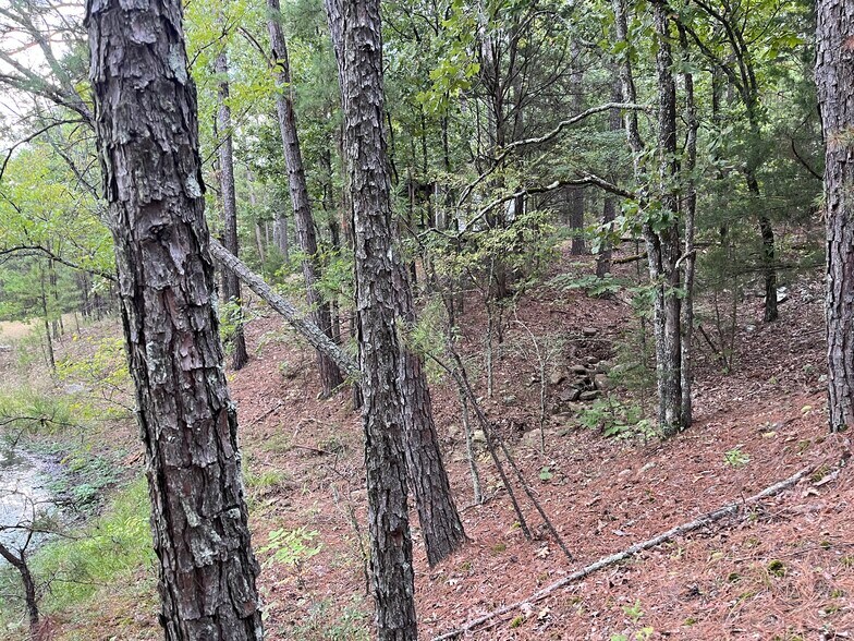 More Photos Of 27546 Reservation Rd, Daisy Land For Sale