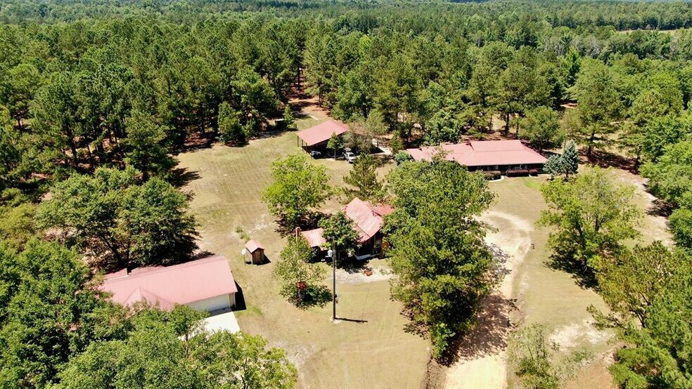 Primary Photo Of 241 Foskey Cemetery Rd, Adrian Land For Sale