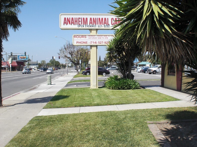 More Photos Of 116 S Magnolia Ave, Anaheim Office For Lease