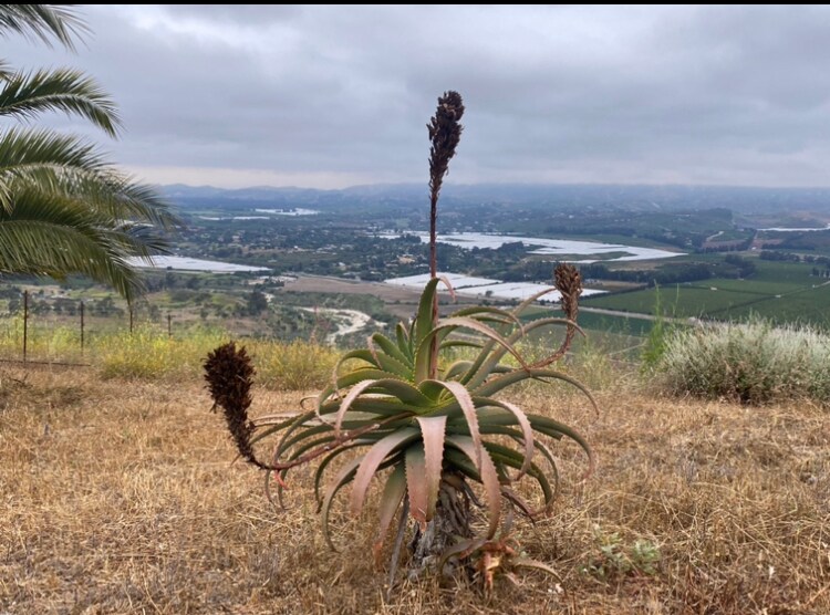 More Photos Of 7979 Worth Way, Camarillo Land For Lease