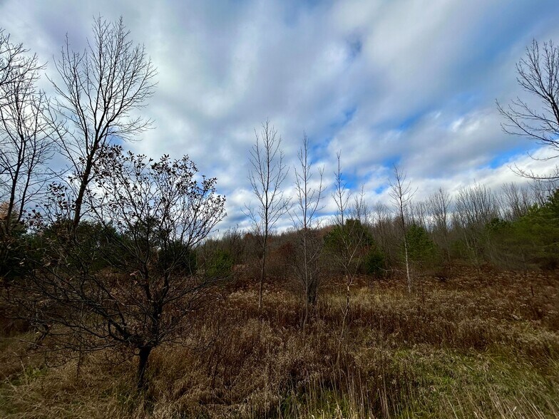 More Photos Of 4056 Horseshoe Valley Rd W, Minesing Land For Sale