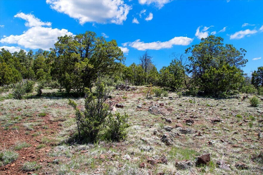 More Photos Of 00 Ponderosa Dr, Flagstaff Land For Sale