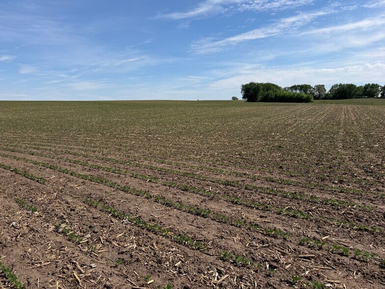 More Photos Of TBD 31st NW Ave @ HWY 52/75th Street NW, Oronoco Land For Sale