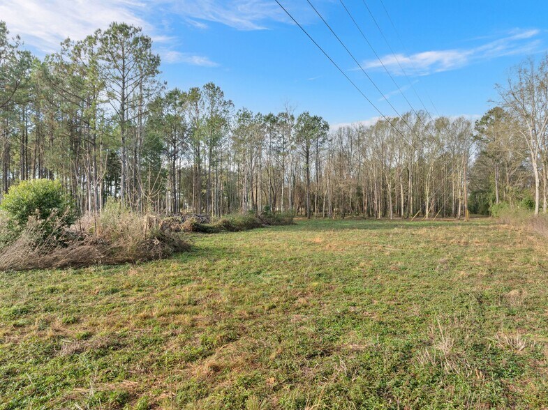 More Photos Of 1115 Evelyn Gandy Pky, Petal Land For Sale