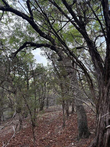 More Photos Of 0000 Lakehurst Rd, Spicewood Land For Sale
