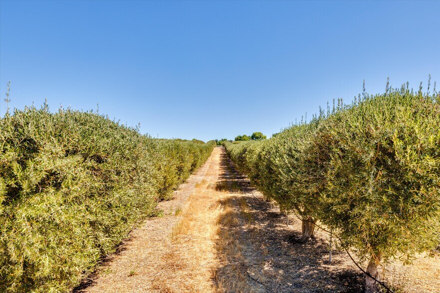 More Photos Of 5055 Rancho La Loma Linda Dr, Paso Robles Specialty For Sale