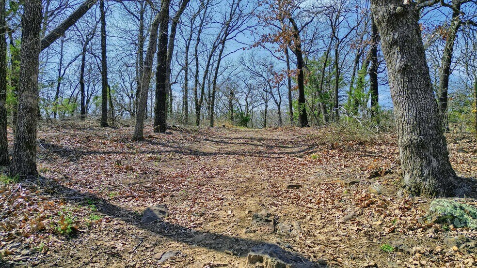 More Photos Of 278 Neely Trl, Gainesville Land For Sale