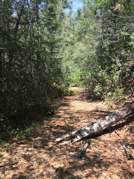 More Photos Of Canyon Creek Drive -1 @ Canyon Way, Colfax Land For Sale