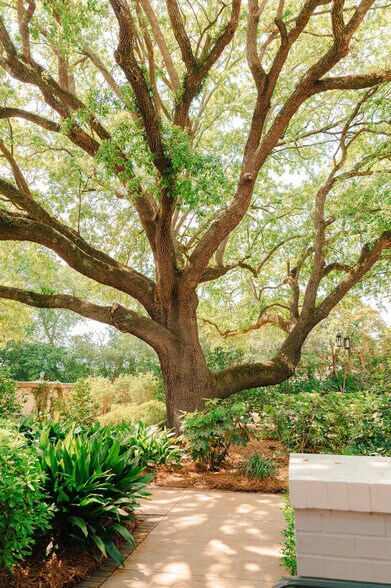 More Photos Of 120 E Liberty St, Sumter Specialty For Sale