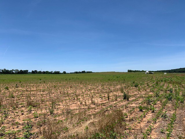 More Photos Of E Jeff Davis Hwy, Elkton Land For Sale