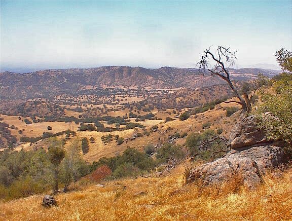 More Photos Of 38176 Cardinal, Yokuts Valley Land For Sale