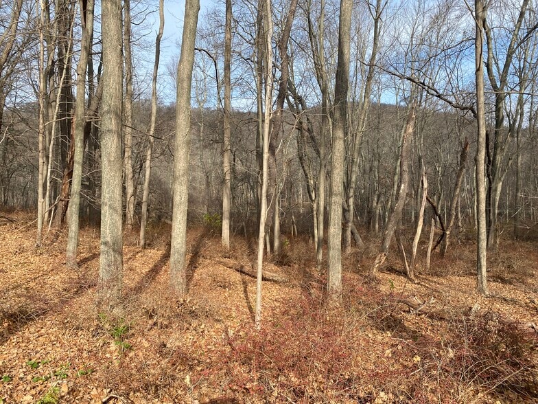 More Photos Of 3918 Danbury, Brewster Village Land For Sale