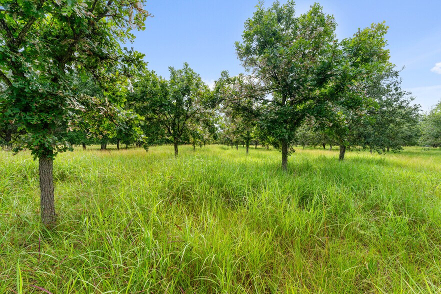 More Photos Of 23111 FM 1462 Rd, Damon Land For Sale