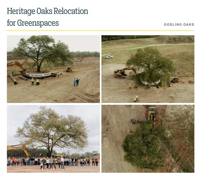 More Photos Of 24702 Gosling, Spring Unknown For Lease